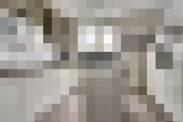 Legioen 57 Elst thumbnail 10