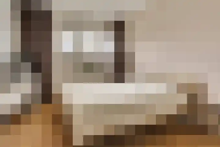 Legioen 57 Elst thumbnail 14