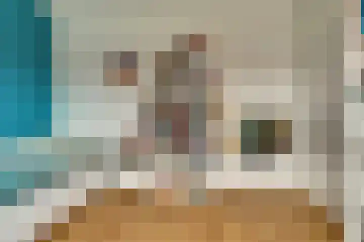 Legioen 57 Elst thumbnail 19