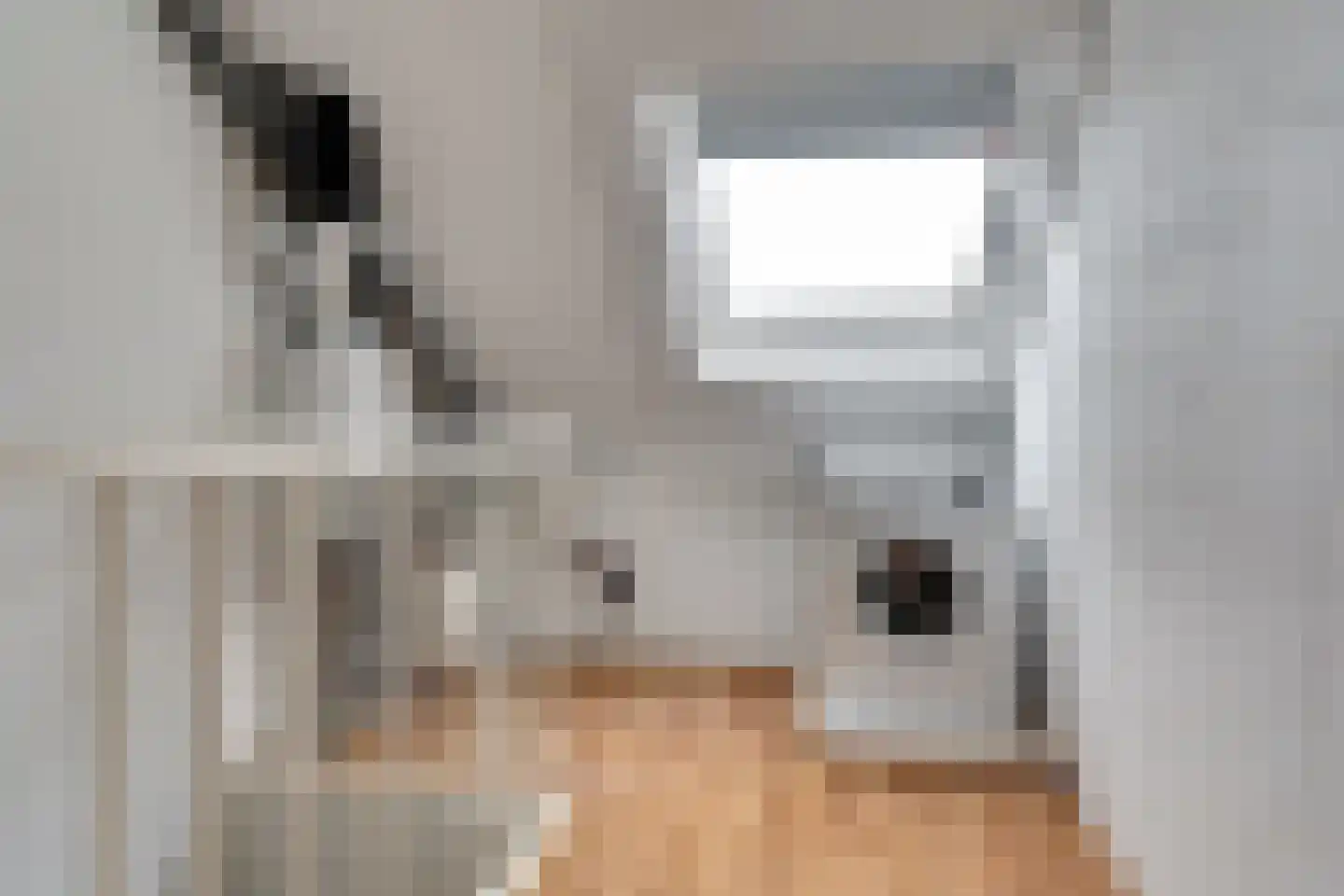 Legioen 57 Elst thumbnail 24