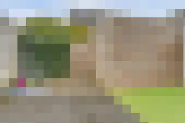 Legioen 57 Elst thumbnail 31