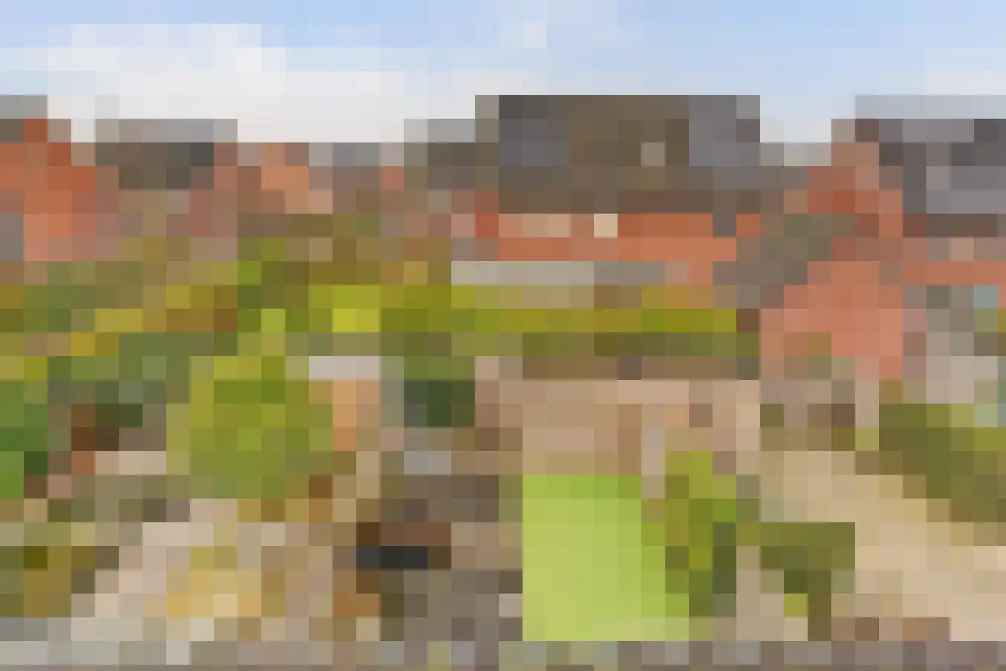 Legioen 57 Elst thumbnail 33