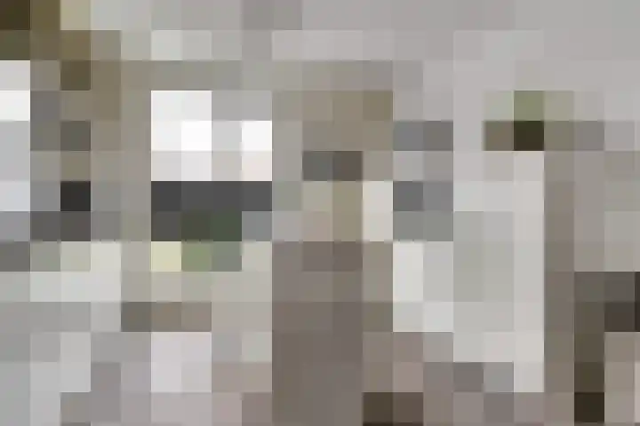 Legioen 57 Elst thumbnail 9