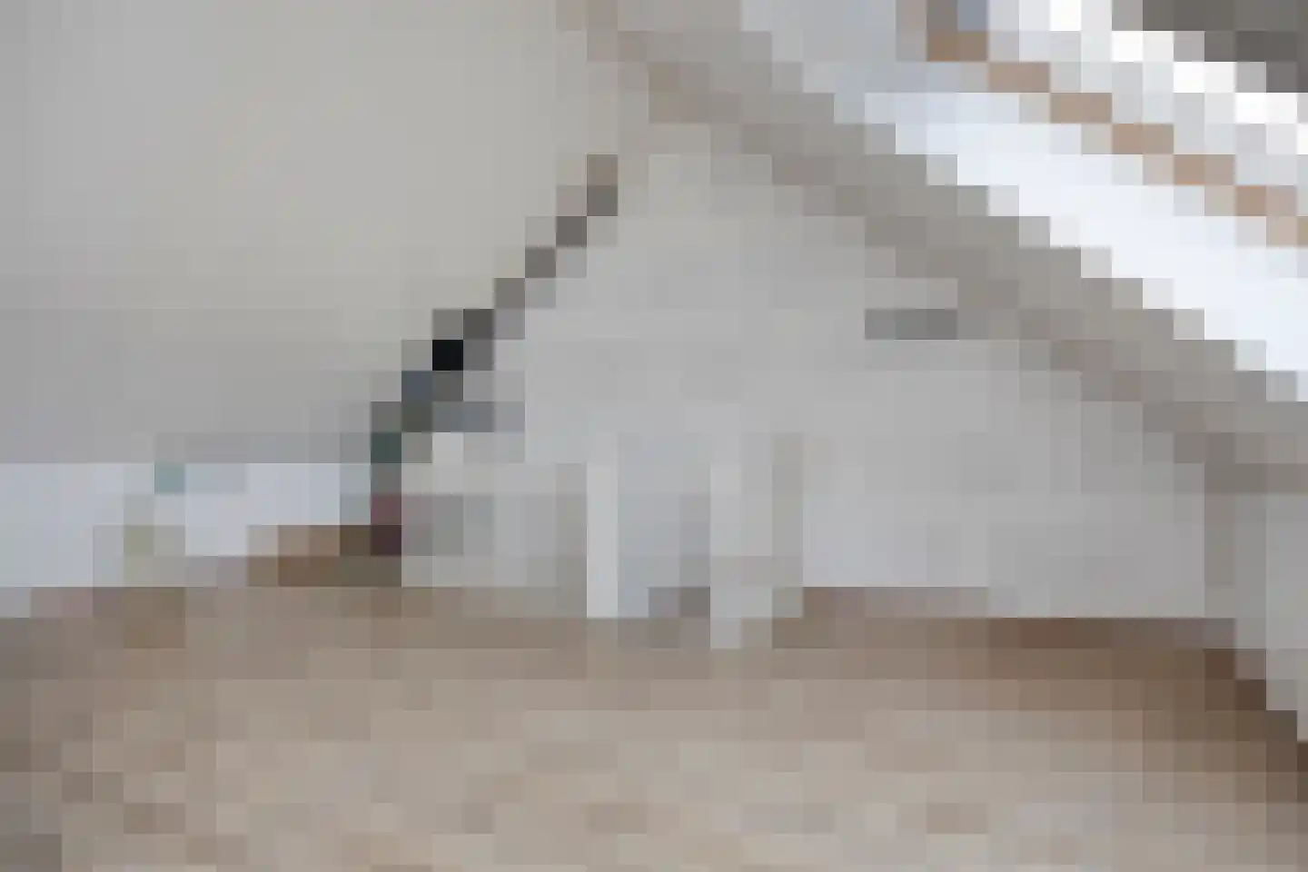 Legioen 71 Elst thumbnail 34