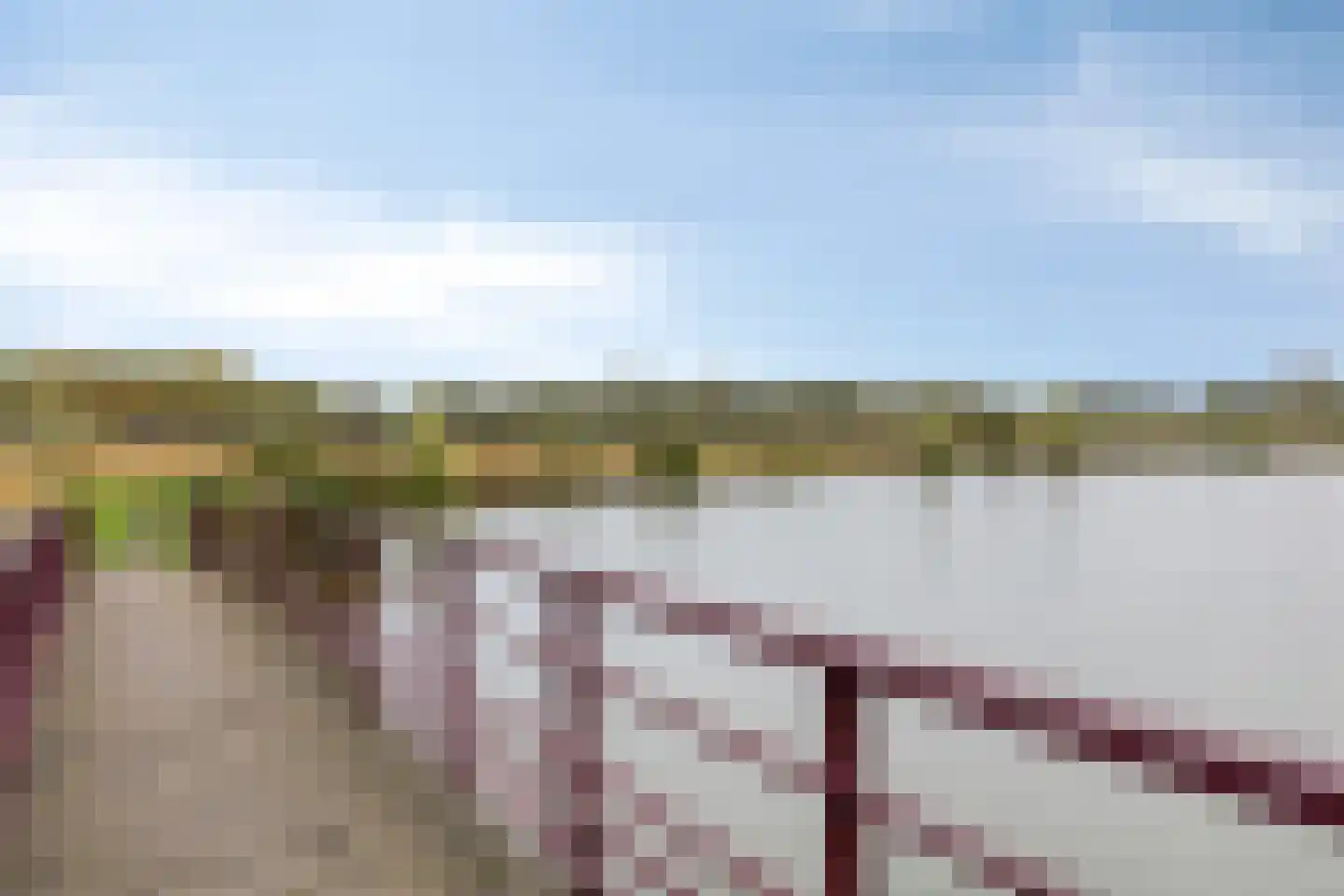 Legioen 71 Elst thumbnail 36
