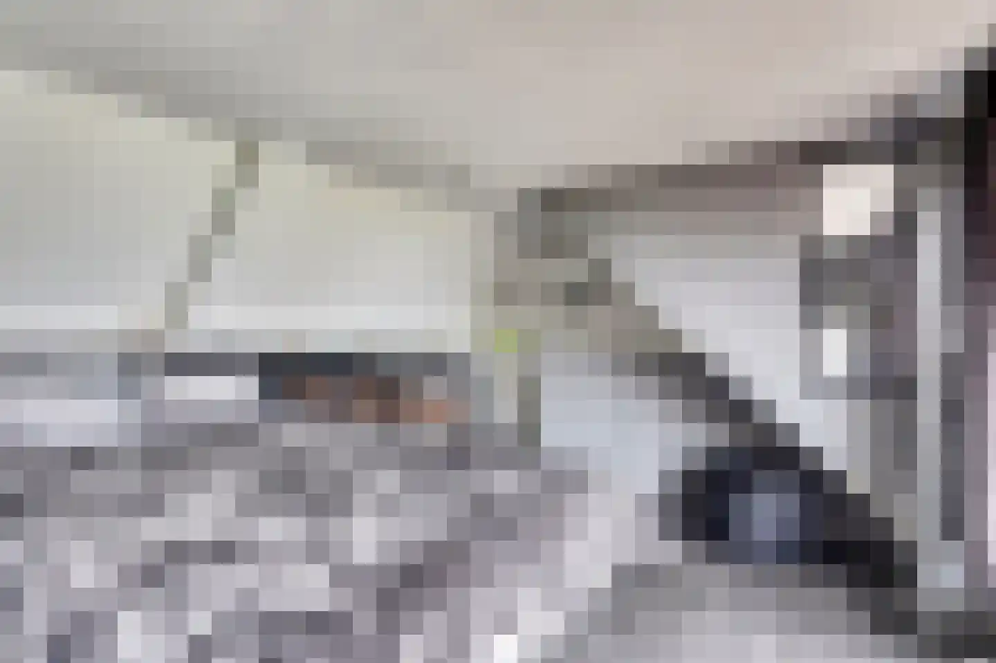 Legioen 77 Elst thumbnail 14