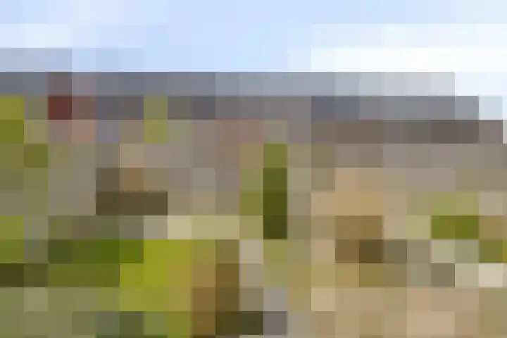 Legioen 77 Elst thumbnail 16