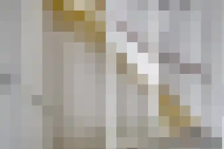 Legioen 77 Elst thumbnail 19