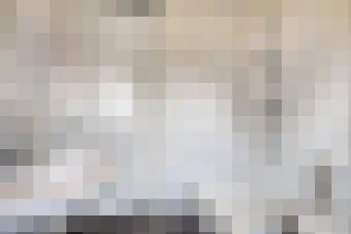 Legioen 77 Elst thumbnail 30