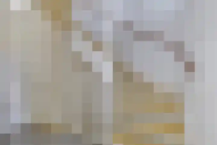 Legioen 77 Elst thumbnail 32