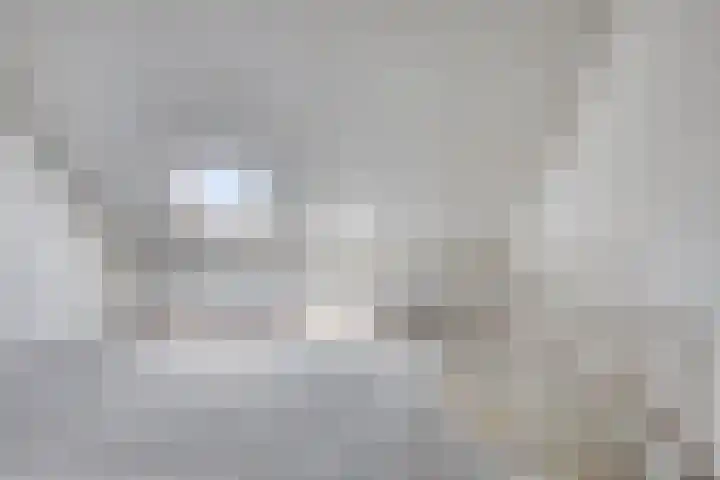 Legioen 77 Elst thumbnail 33