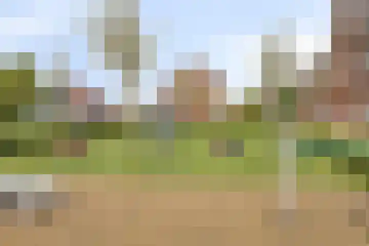 Legioen 77 Elst thumbnail 36