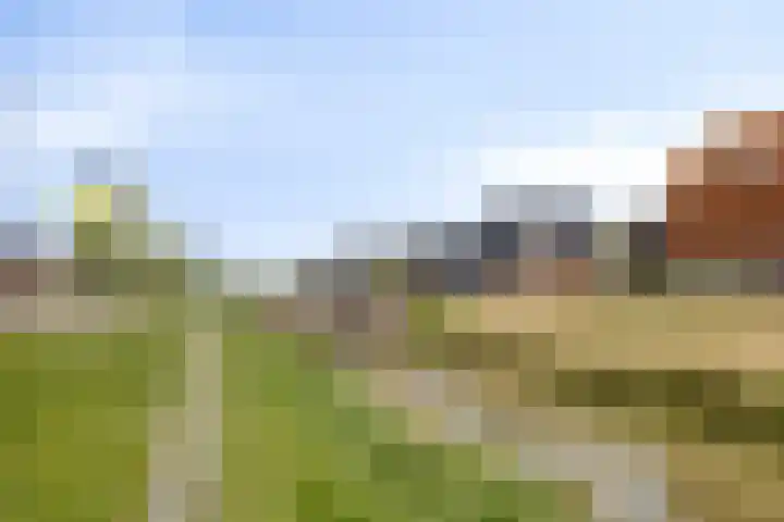 Legioen 77 Elst thumbnail 37