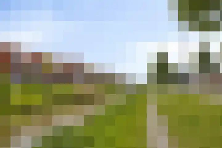 Legioen 77 Elst thumbnail 38