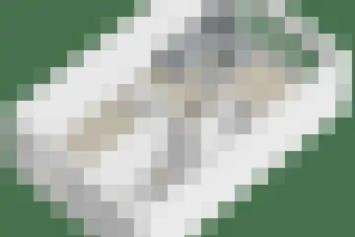 Legioen 77 Elst thumbnail 43