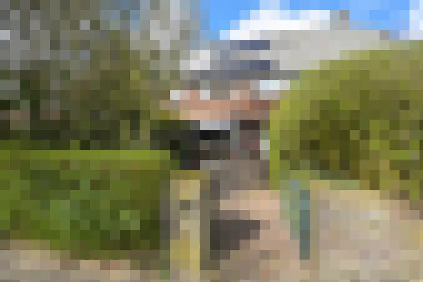 Legioen 77 Elst thumbnail 7
