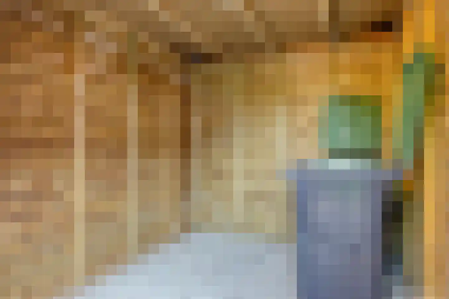 Legioen 85 Elst thumbnail 20