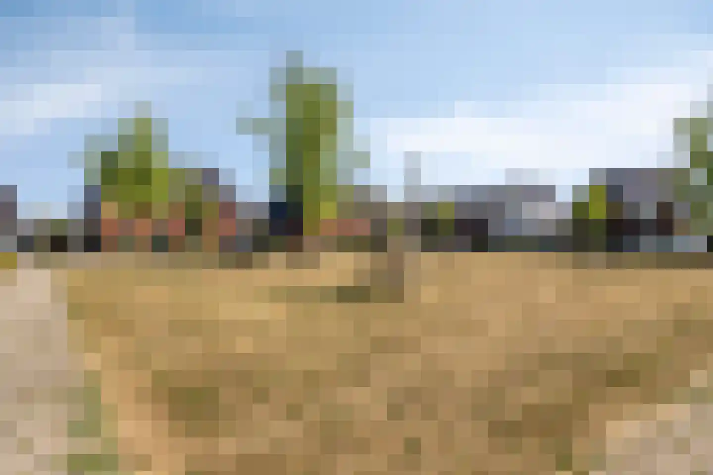 Legioen 85 Elst thumbnail 31