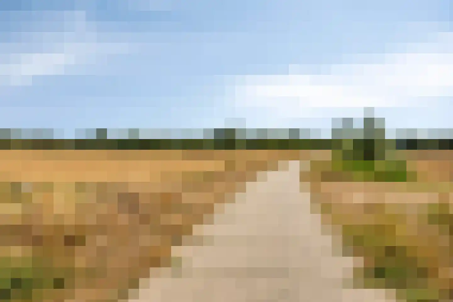 Legioen 85 Elst thumbnail 32