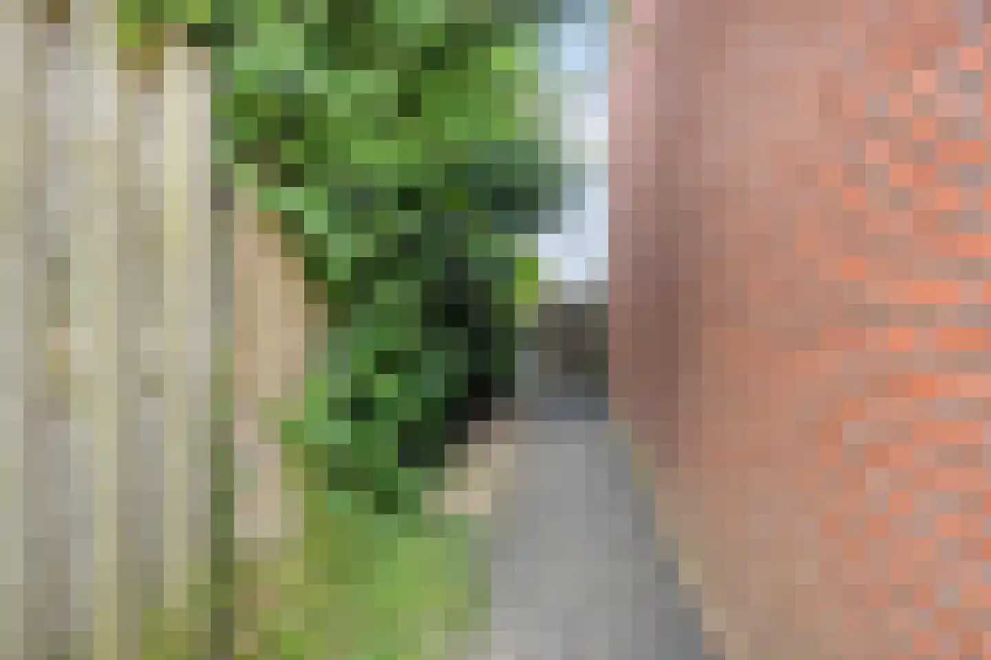 Legioen 87 Elst thumbnail 19