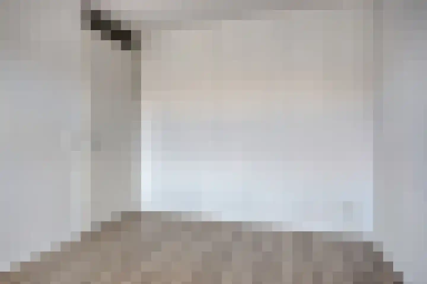 Legioen 87 Elst thumbnail 27