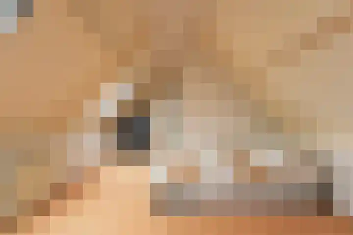 Legioendreef 1 Valkenburg thumbnail 24