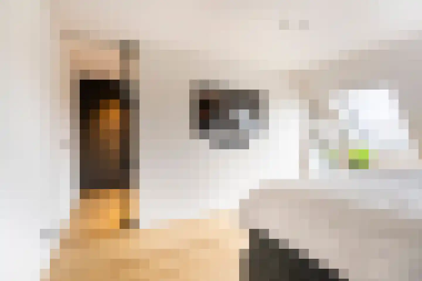 Legioendreef 5 Valkenburg thumbnail 39