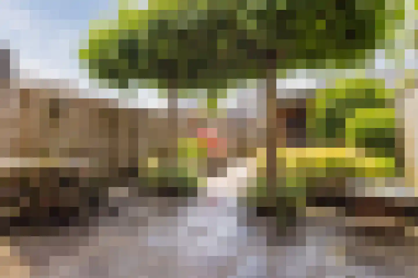 Legionairshof 11 Huissen thumbnail 37