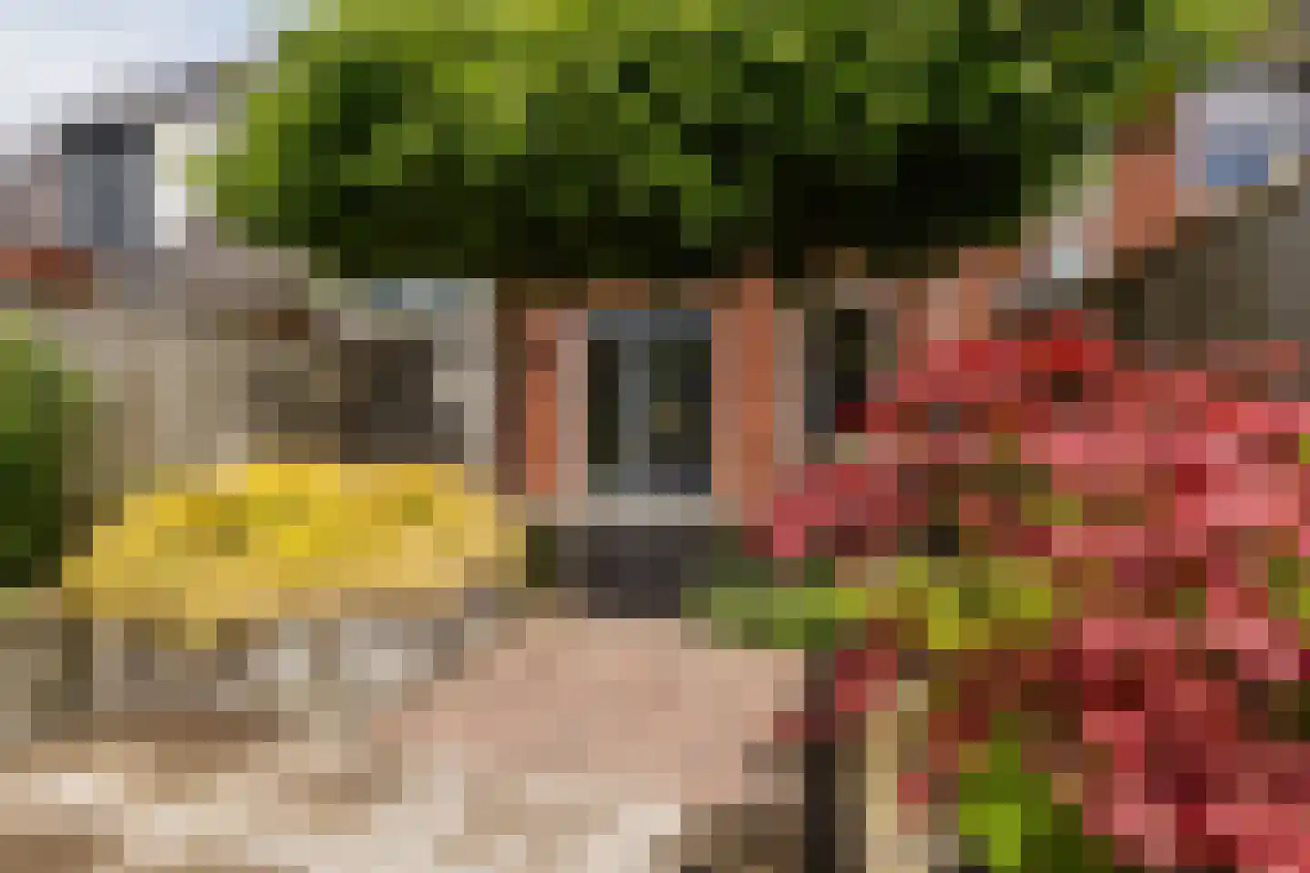 Legionairshof 11 Huissen thumbnail 39