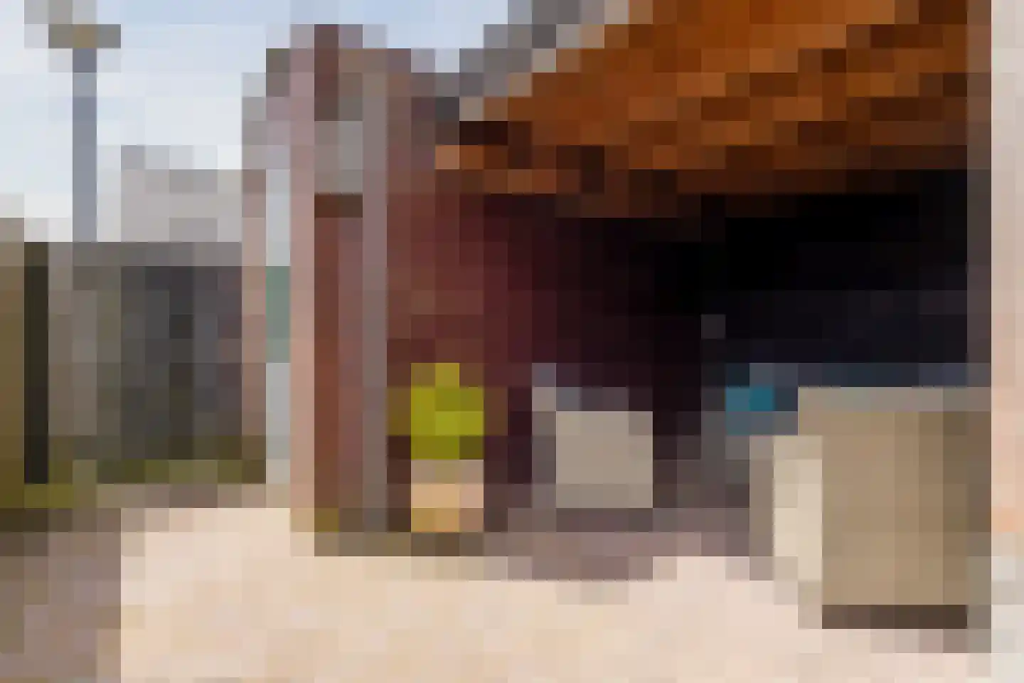 Legionairshof 11 Huissen thumbnail 40