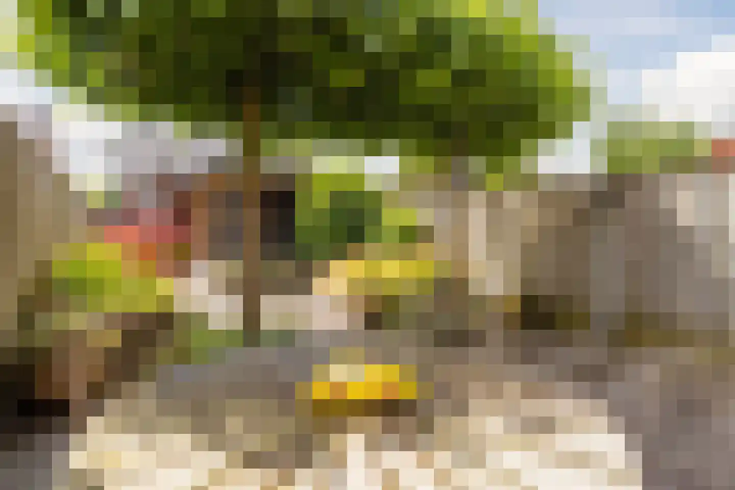 Legionairshof 11 Huissen thumbnail 5