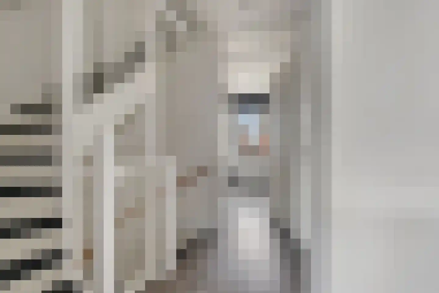Legionairshof 20 Huissen thumbnail 15