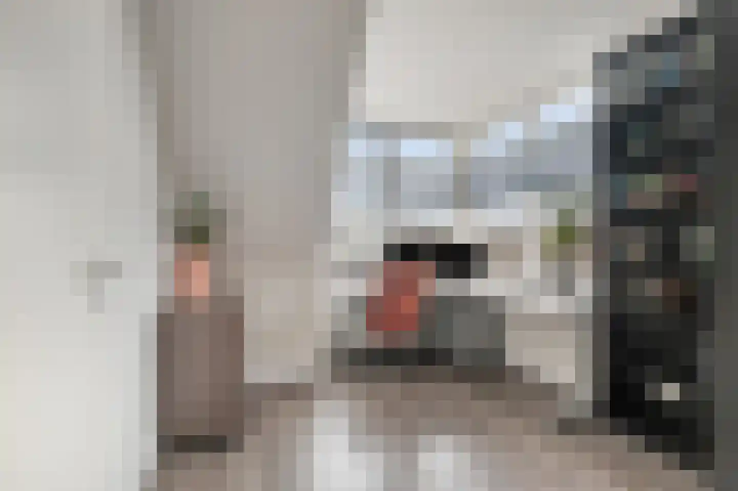 Legionairshof 20 Huissen thumbnail 18