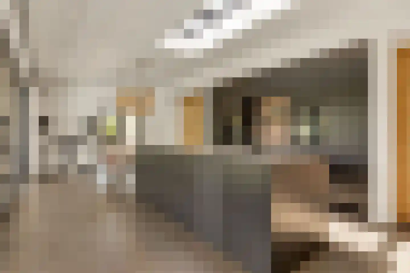 Legmeerdijk 130 Amstelveen thumbnail 15