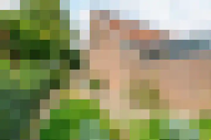Legmeerdijk 156 Amstelveen thumbnail 32