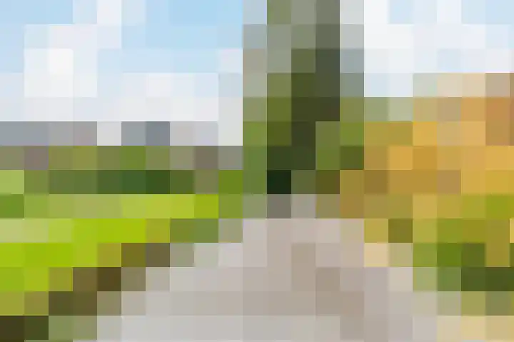 Legmeerdijk 156 Amstelveen thumbnail 36