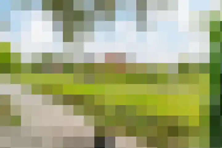 Legmeerdijk 156 Amstelveen thumbnail 38