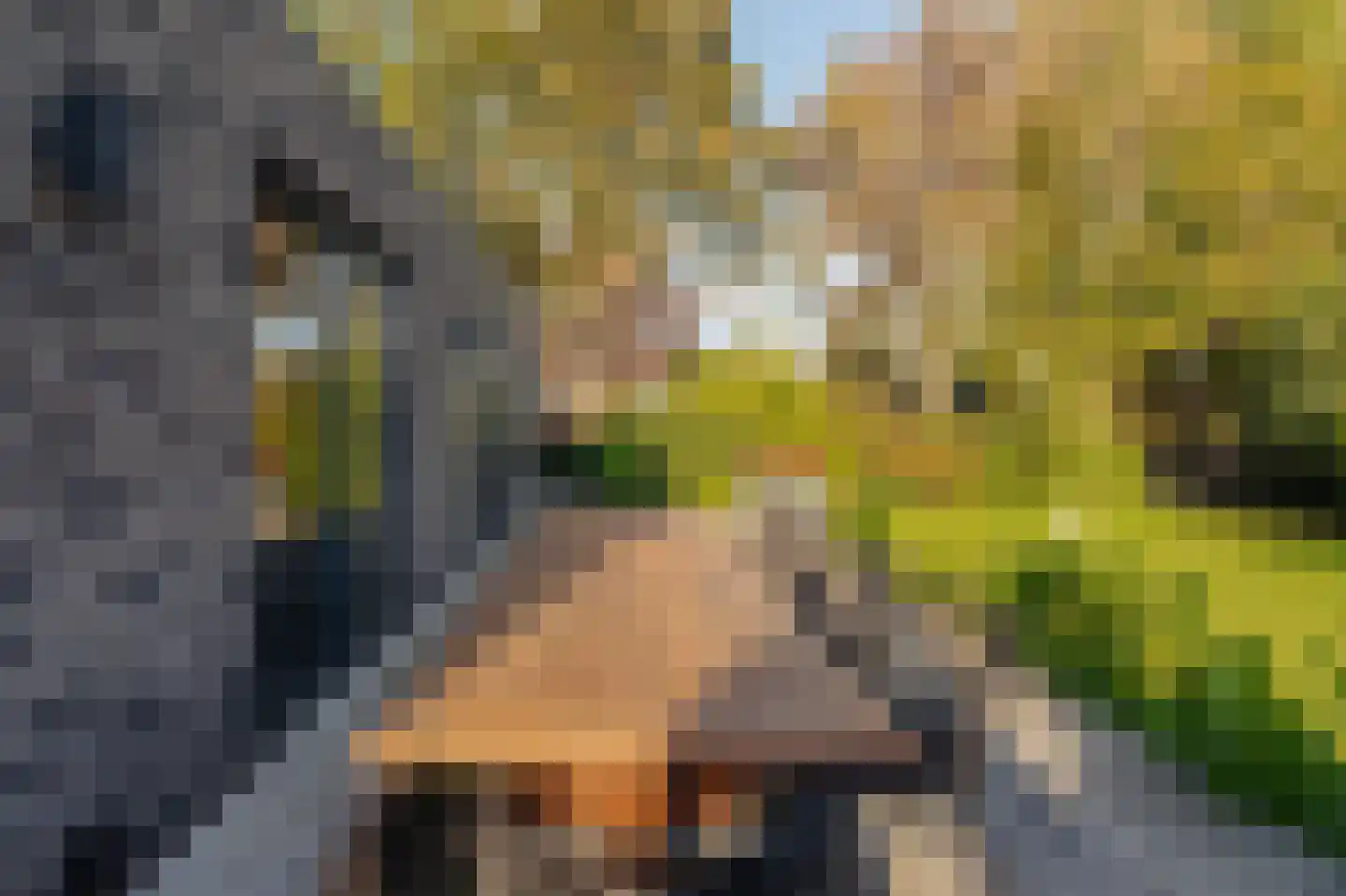 Legmeerdijk 160 Amstelveen thumbnail 24