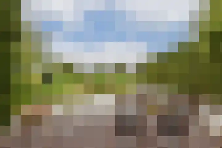 Legmeerdijk 173 Aalsmeer thumbnail 22