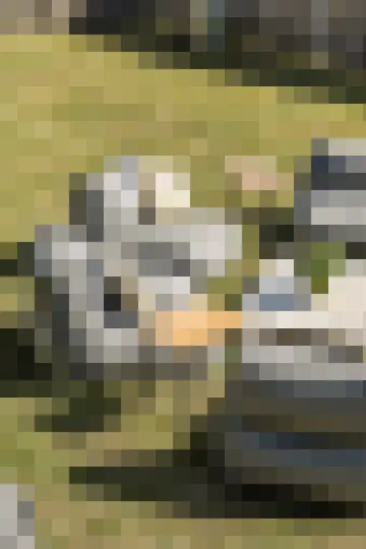 Legmeerdijk 204 A Amstelveen thumbnail 22
