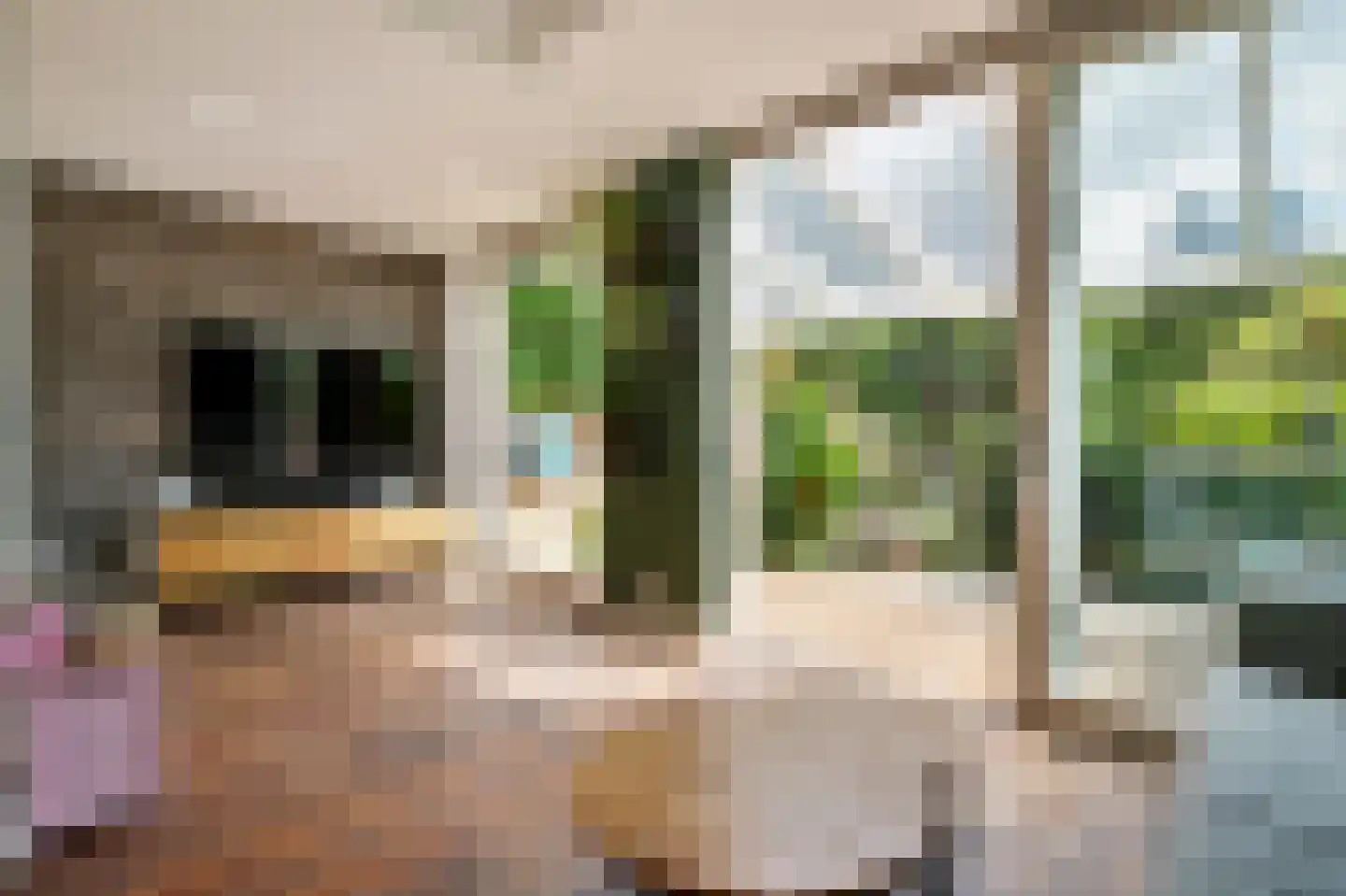 Legmeerdijk 24 Amstelveen thumbnail 21