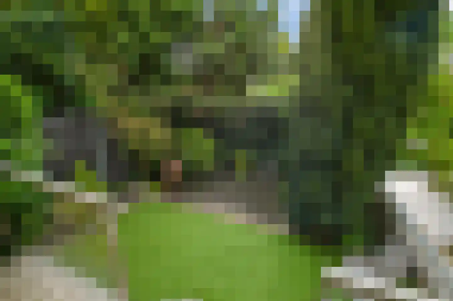 Legmeerdijk 24 Amstelveen thumbnail 25