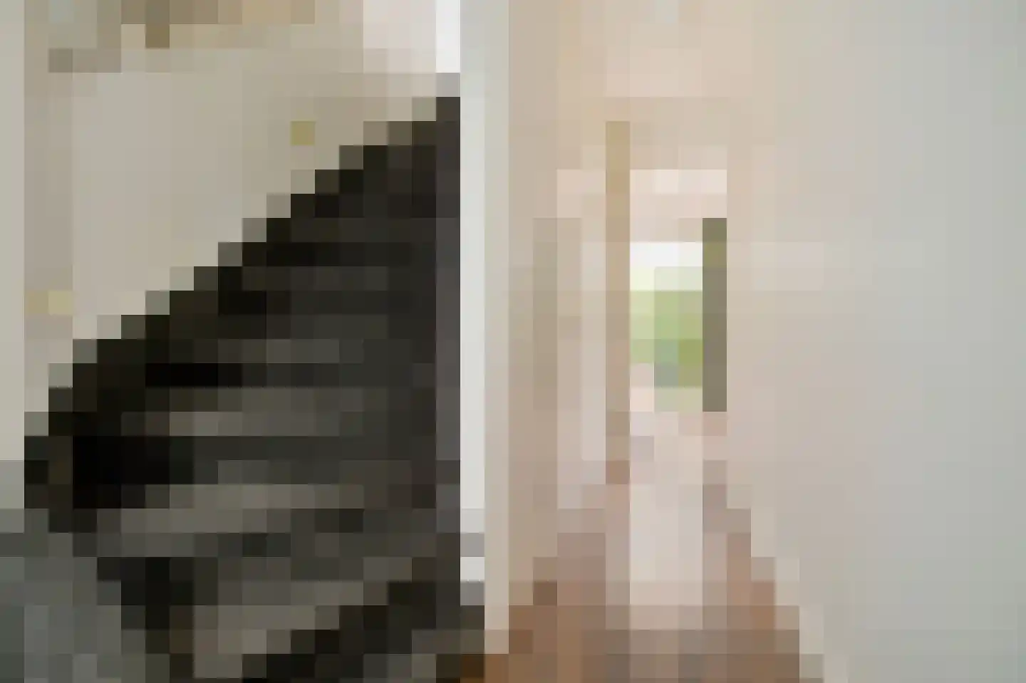 Legmeerdijk 24 Amstelveen thumbnail 30