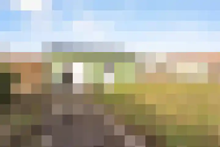 Legmeerdijk 259 Aalsmeer thumbnail 30