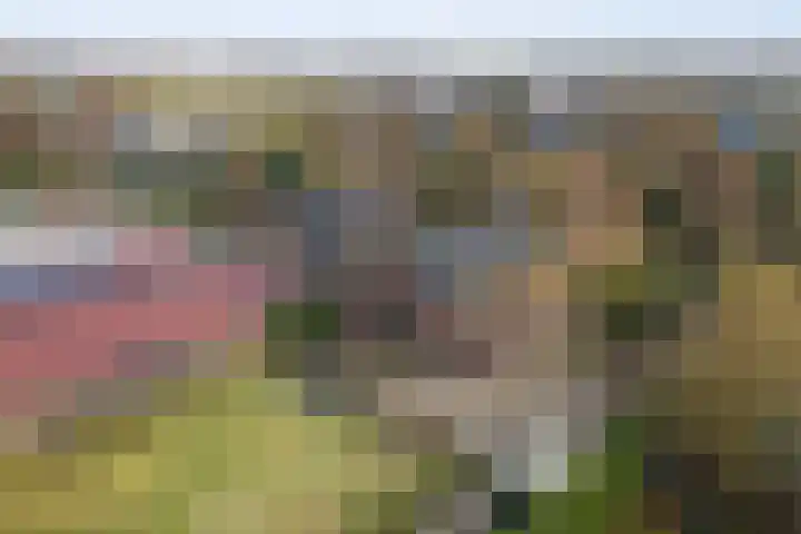 Legmeerdijk 259 Aalsmeer thumbnail 33