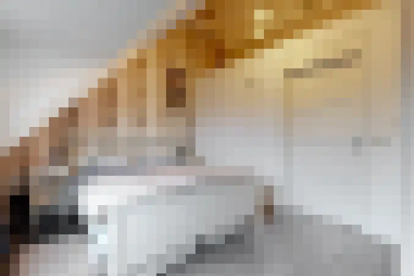 Legmeerdijk 277 Aalsmeer thumbnail 12