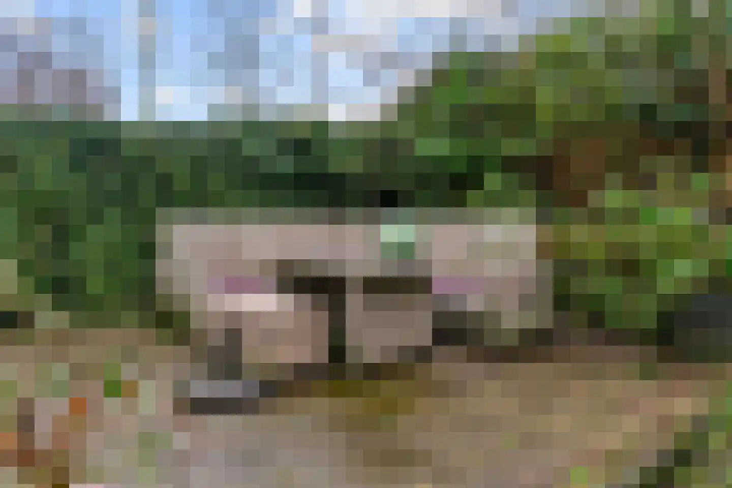 Legmeerdijk 277 Aalsmeer thumbnail 21