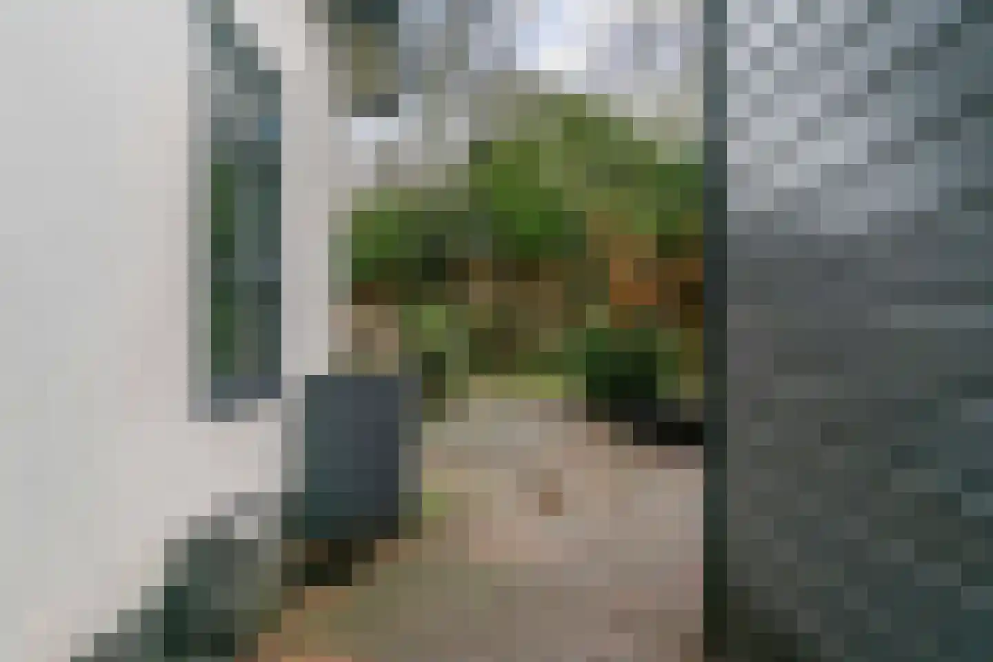 Legmeerdijk 277 Aalsmeer thumbnail 22