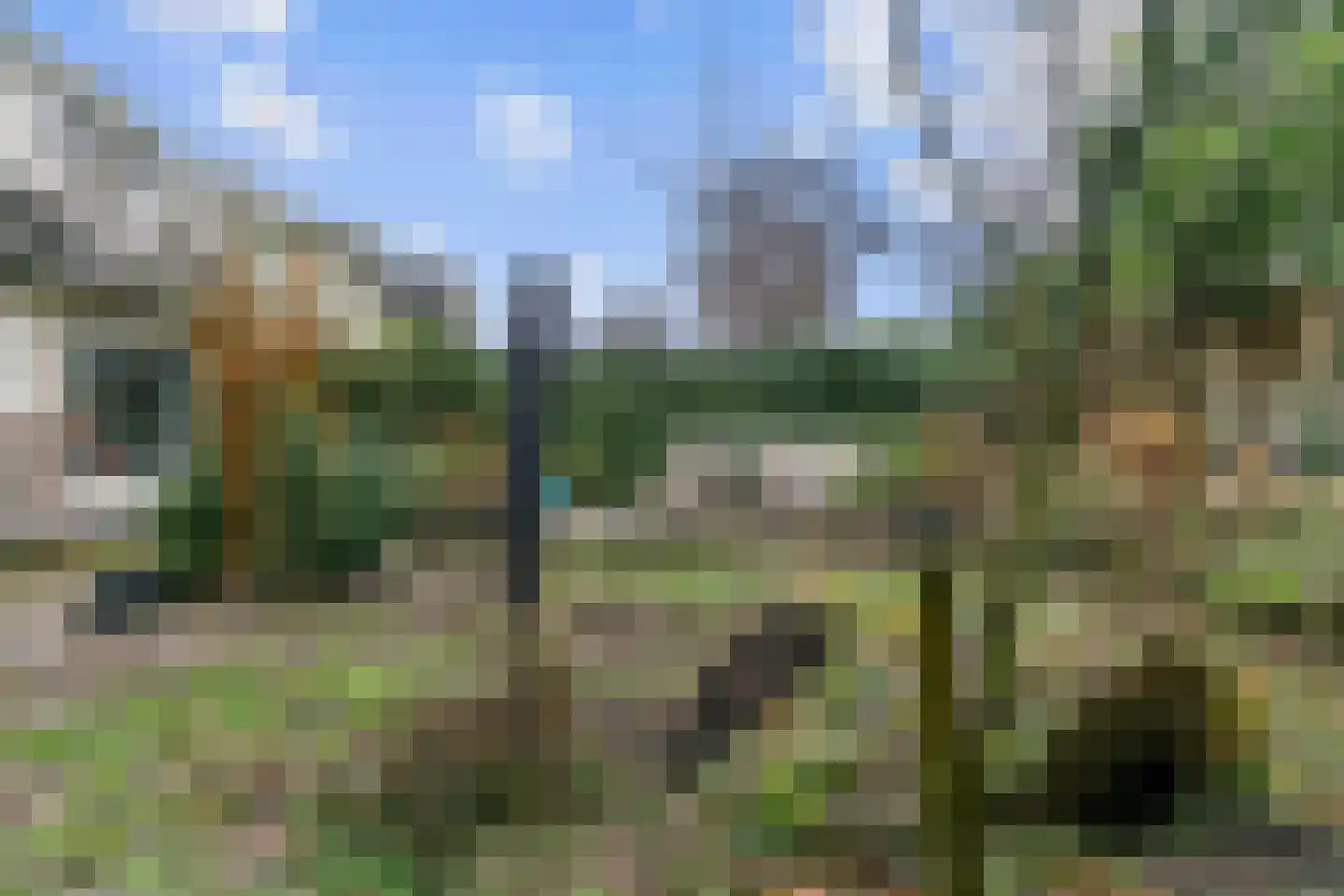 Legmeerdijk 277 Aalsmeer thumbnail 27