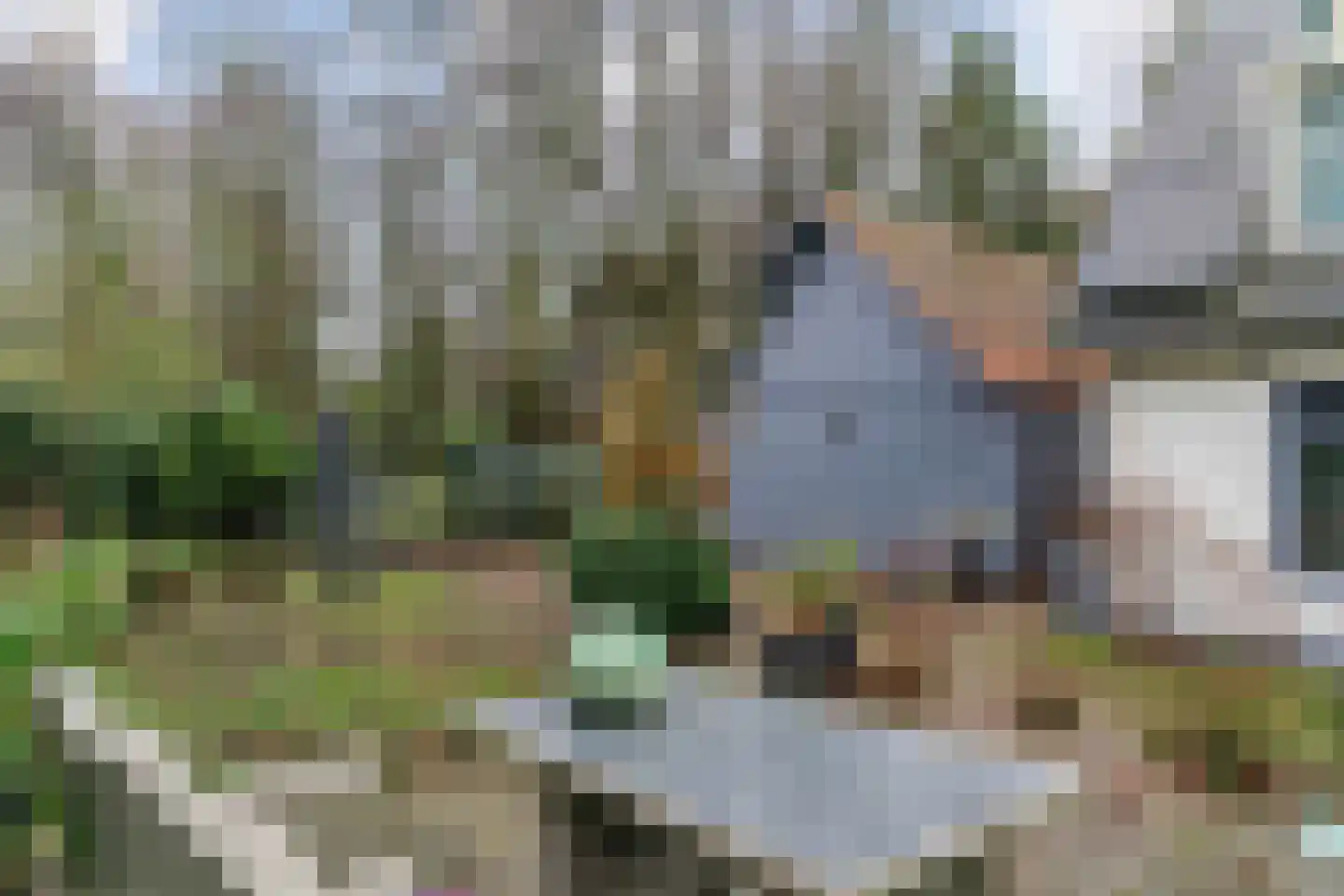 Legmeerdijk 277 Aalsmeer thumbnail 29